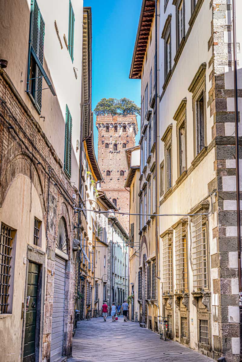 Torre Guinigi Lucca